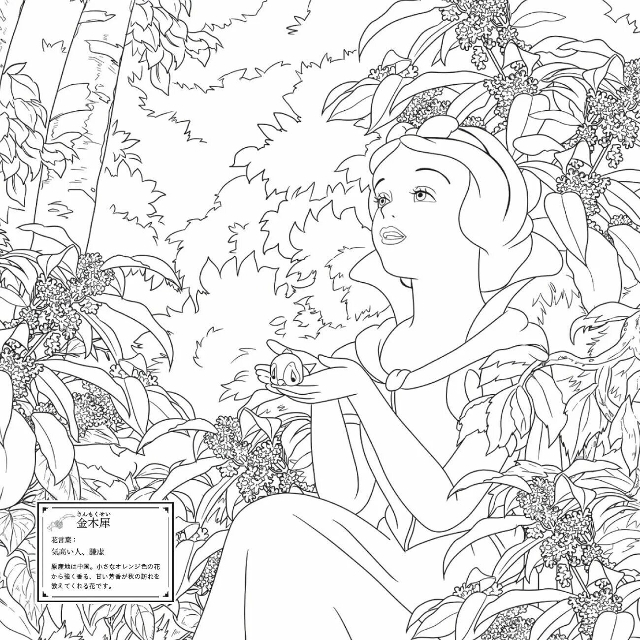 Раскраски дисней. Disney colouring book. Раскраски дисней. Раскраски антистресс принцессы. Раскраски принцессы сложные.