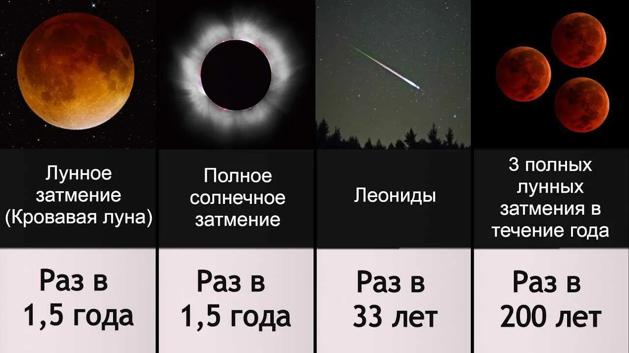 Солнечное затмение бывает раз в год