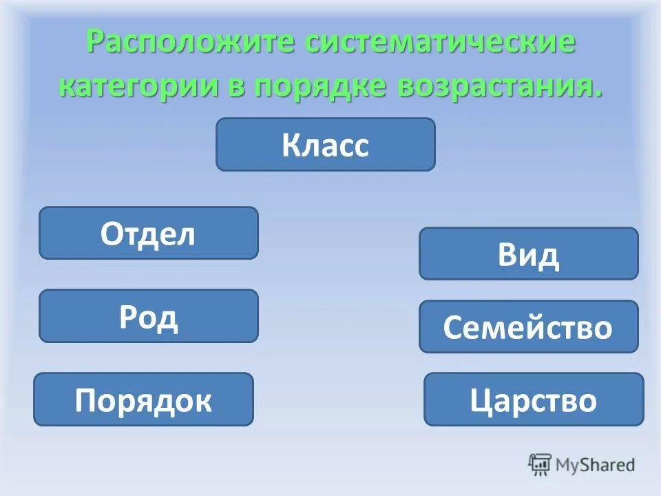 Царство отдел класс род вид животных. Классификация групп царства растений. Отдел тип класс. Систематика растений царство отделы. Растения царство отдел класс порядок семейство род вид.