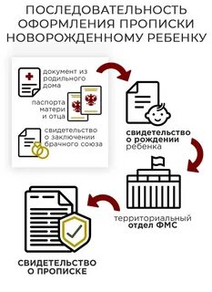 Как получить документы на новорожденного