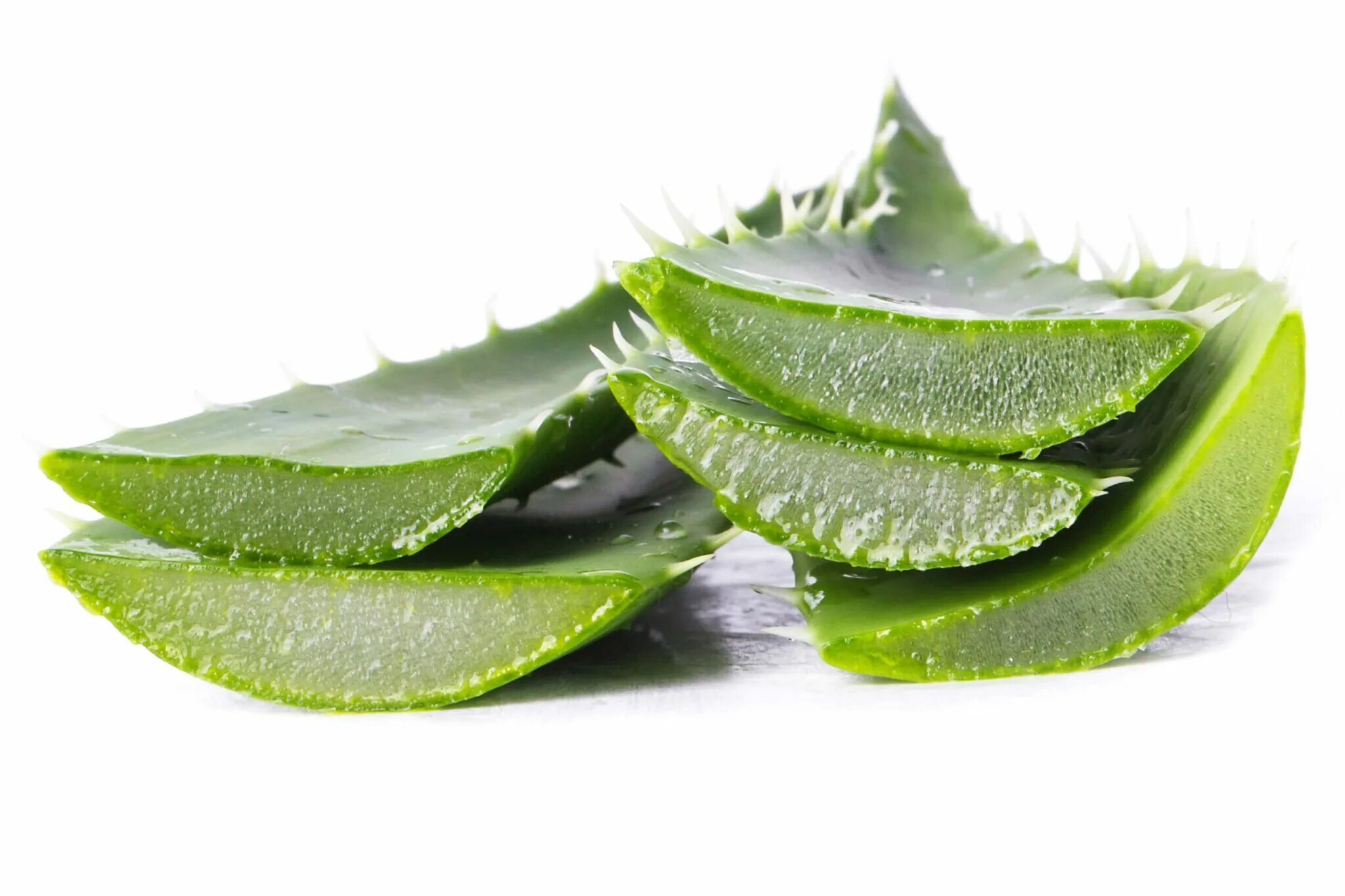 Алоэ в разрезе. Aloe barbadensis leaf extract. Aloe vera extract. Подставка для листьев алоэ. Aloe barbadensis extract.