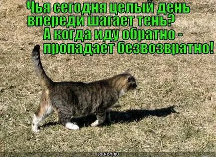 Пошла обратно