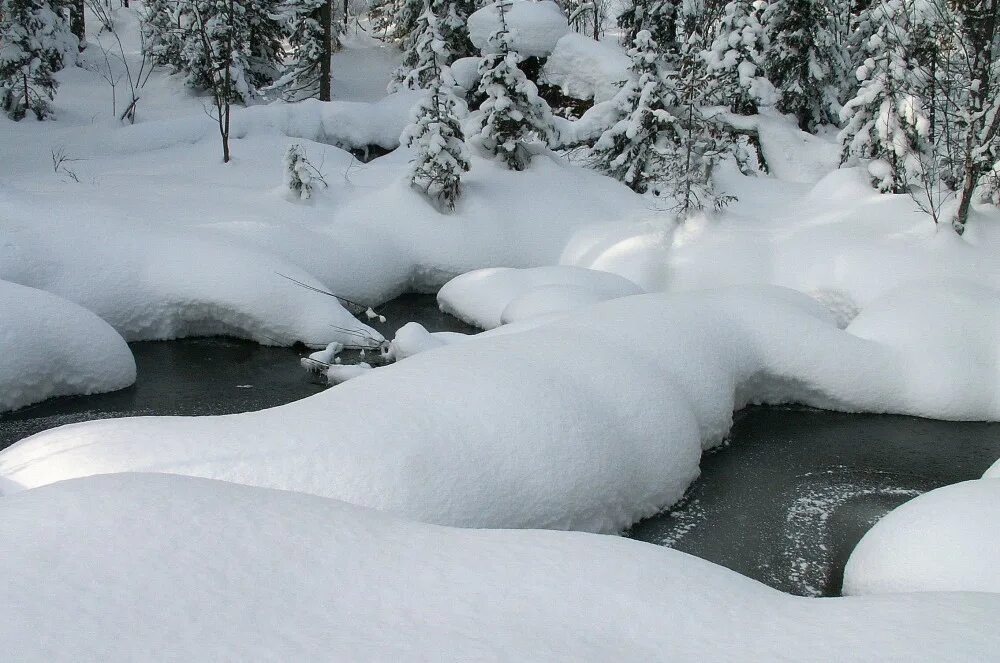 зимний ручей. мерзлая река. зимняя река. зимний лес. зима снег река.