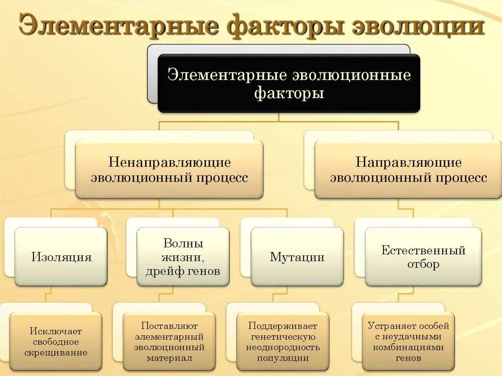 Главным фактором эволюции является. Перечислите элементарные факторы эволюции. Элементарно эволюционные факторы. Ненаправляющие факторы эволюции. Элементарные факторы революции.