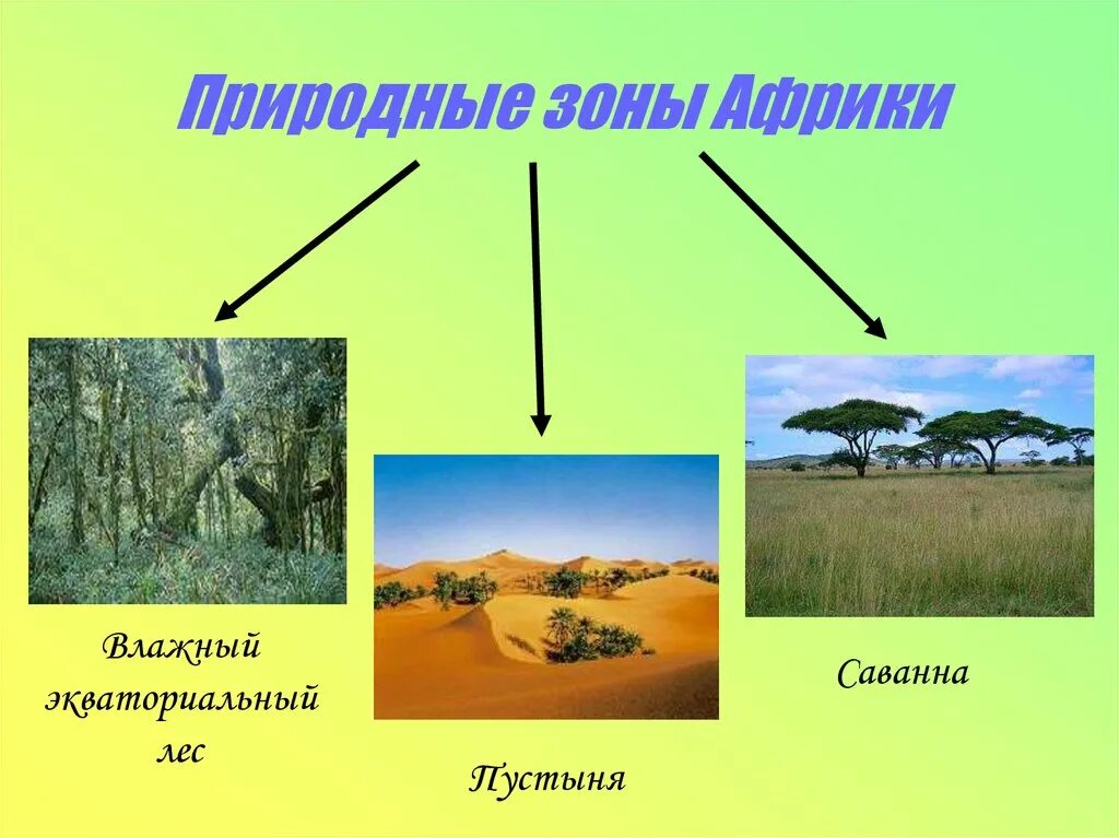 Разнообразие природы африки 7 класс презентация. Природные зоны африки саванны 7 класс. зона тропической пустыни в африке. африкап природные зоны. приироднвай зоны африки.