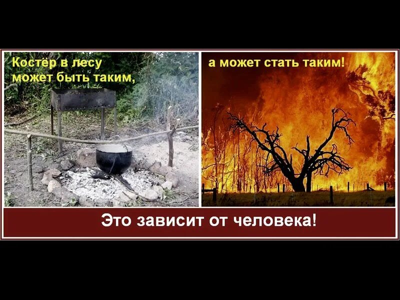 Об установлении особого противопожарного режима 2025