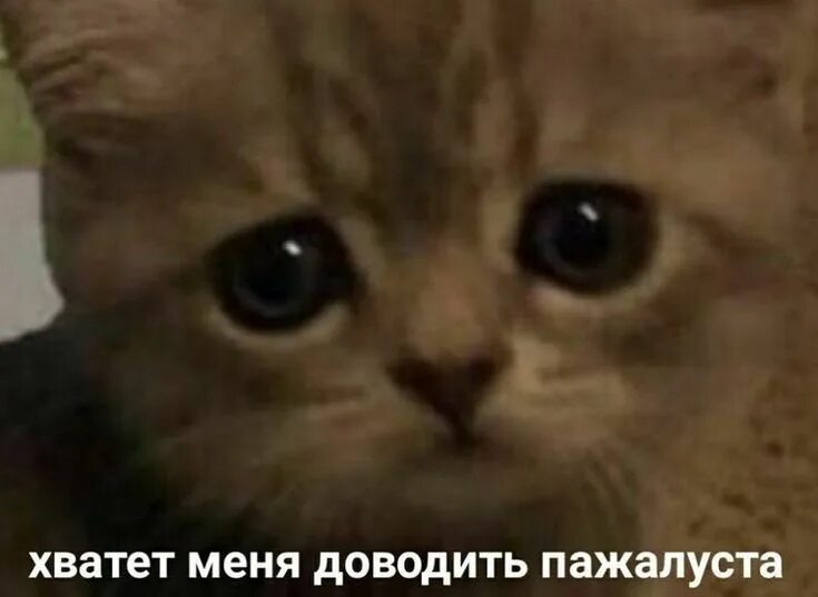 Так и не доводя до