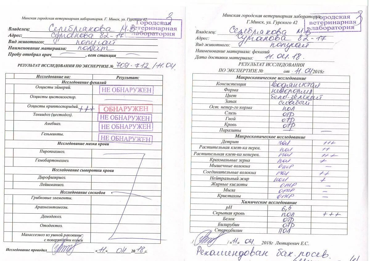 Где сдать на паразитов. Выявление паразитов в организме по анализу крови. ифа анализ крови на паразитов. анализ крови для выявления ленточных червей. ифа крови на гельминты.