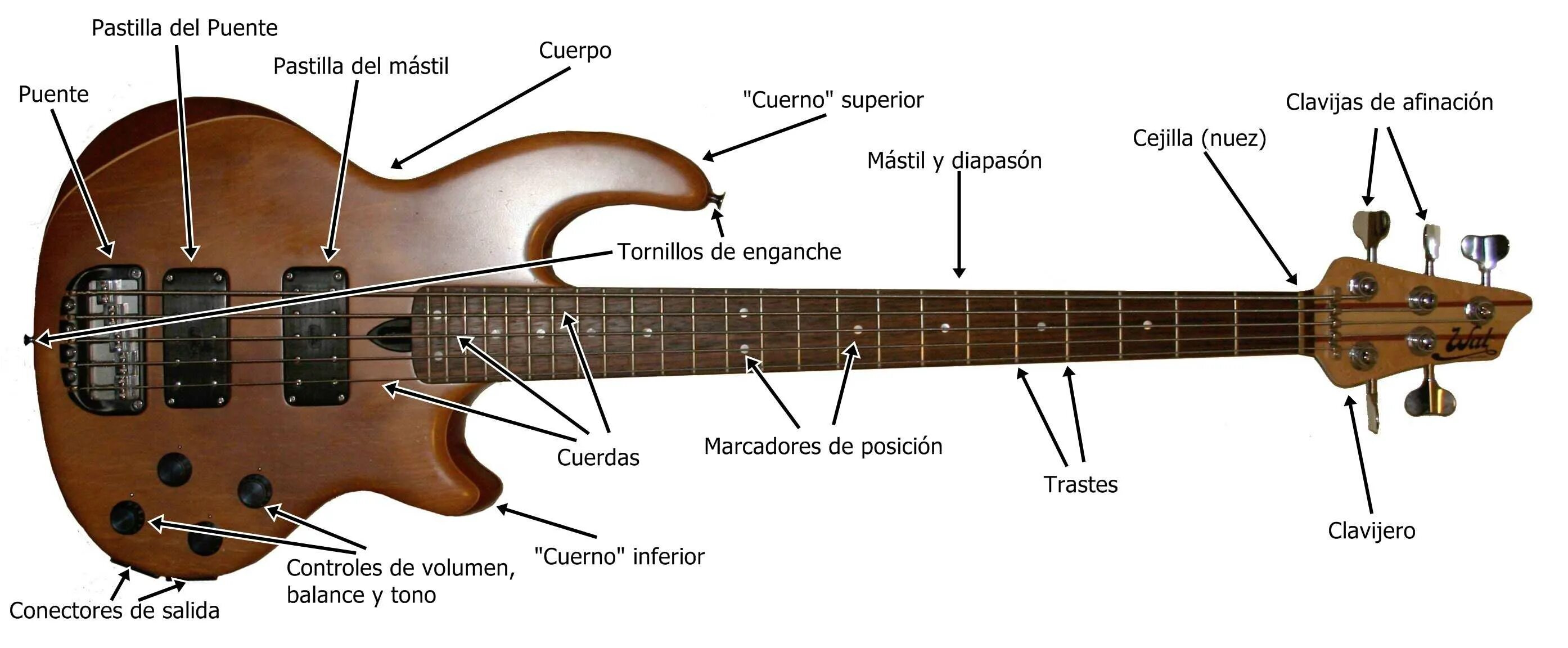 Зачем электрогитара. Строение бас гитары 4 струны. Бас гитара структура. Анатомия бас гитары. Строение электро бас гитары.