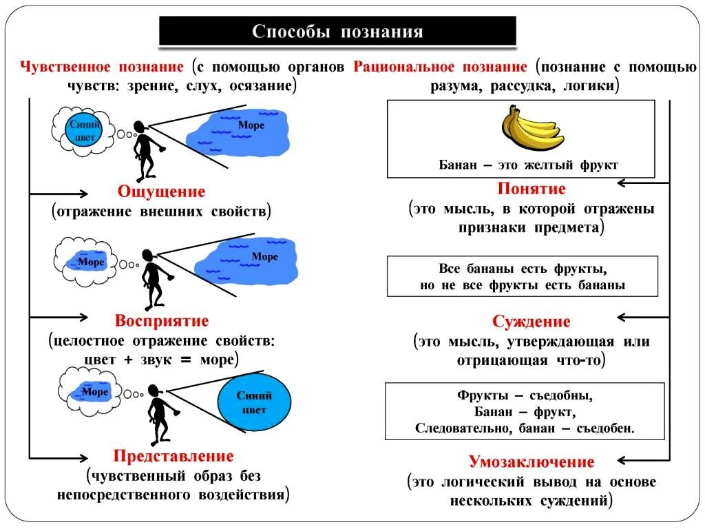 Чувственное 2 рациональное логическое. Методы чувственного познания. Виды чувствительного познания. Осязание это чувственное познание. Эссе чувственное познание.