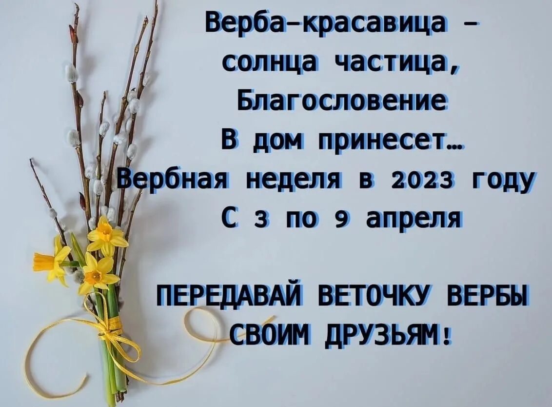 Какого числа вербное в этом году. Вербная неделя. 9 Апреля Вербное воскресенье. Верба на Вербное воскресенье. Вербное воскресенье в 2023 году.