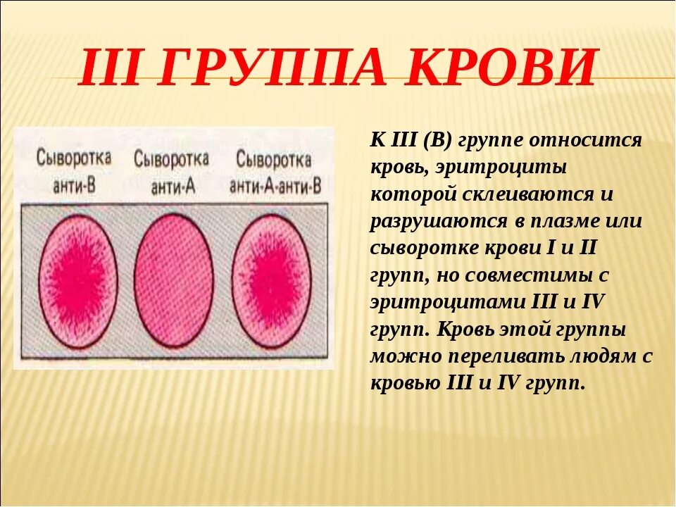 Редкий частый двойной какая. 3 Группа крови. Особенности 3 группы крови. Крор группы. Группа крови 3 группа.