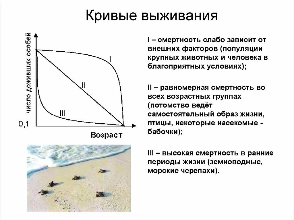Особей в возрасте от