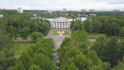 Московский ви