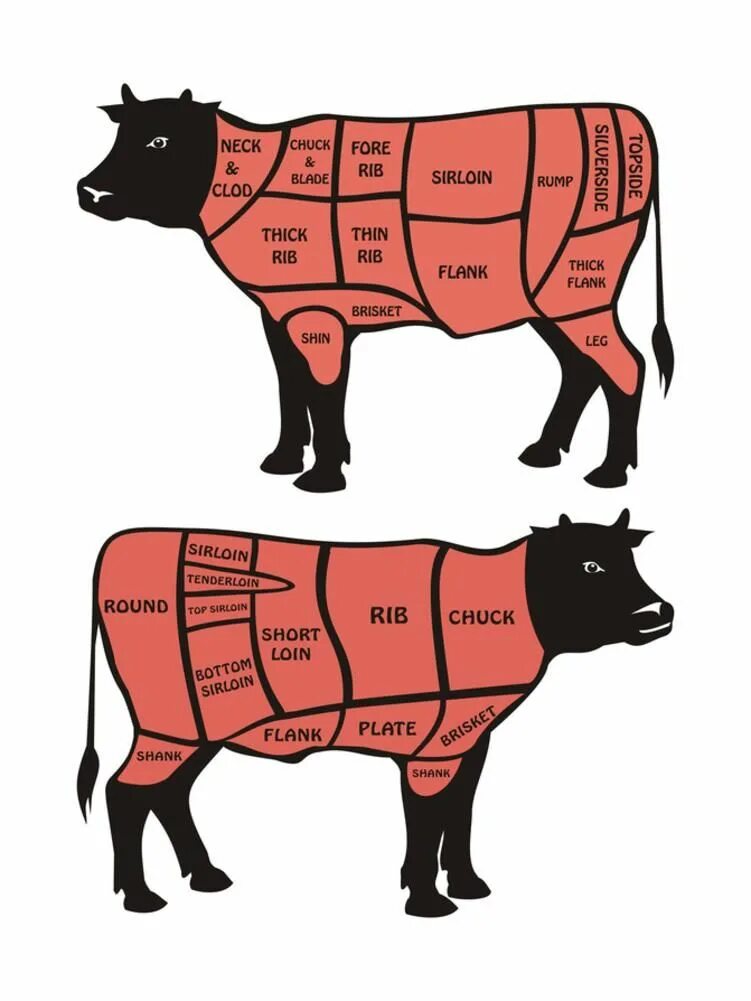 Говядина схема. Вырезка коровы. Мясные части коровы. Части коровы вырезка.
