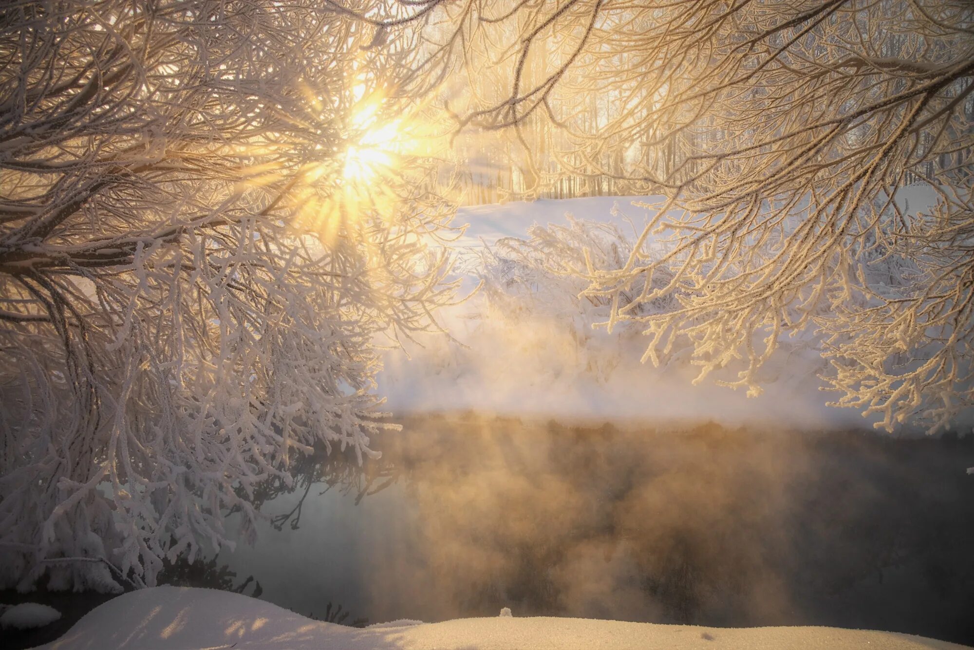 Снежное утро красивые. Фотоработы Эдуарда Гордеева зима. Зимнее утро. Красивое зимнее утро. Зима солнце.