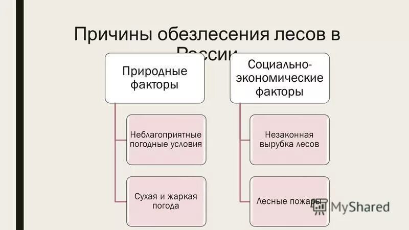уничтожение лесов причины. причины вырубки лесов. меры по предотвращению уничтожения тропических лесов. уничтожение лесов причины. последствия сведения лесов.