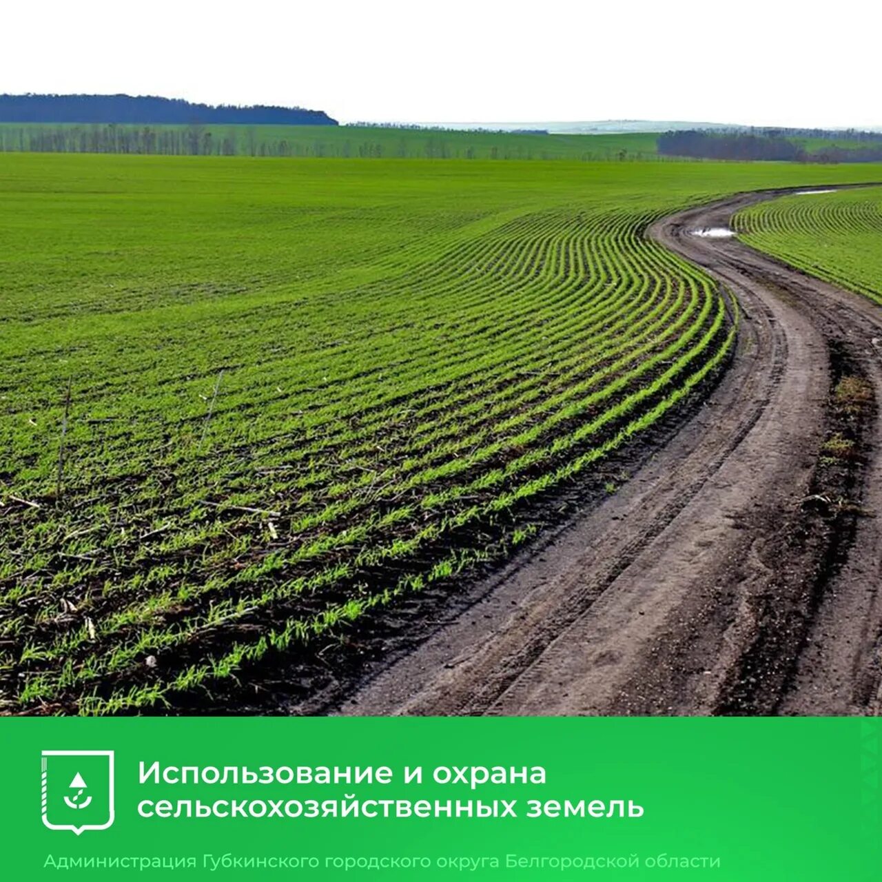 Земля почва. Черноземы солонцеватые. Плодородие воронеж. Земля почва. Плодородие почвы.