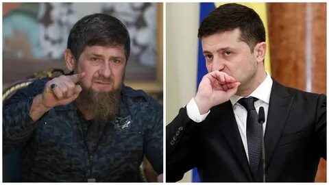 Сел извинись