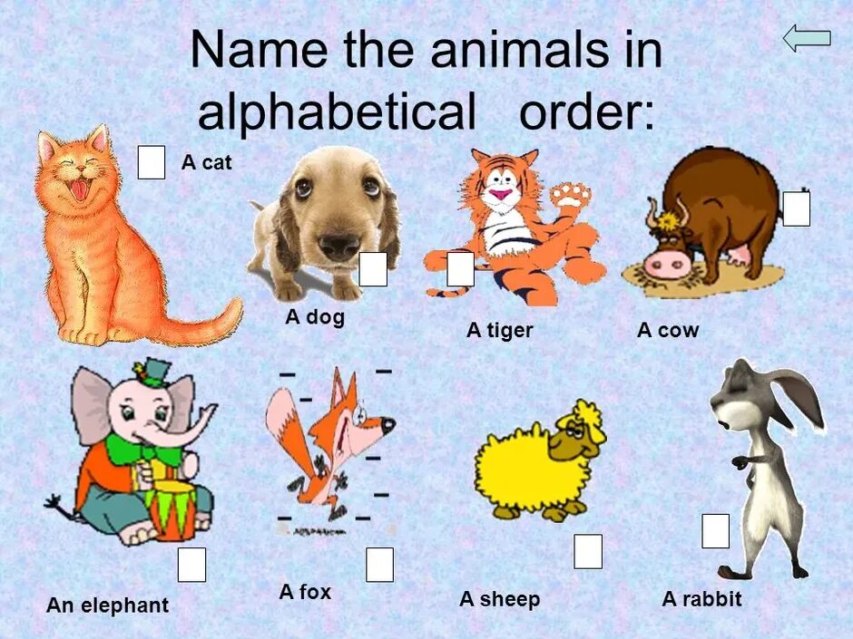 Лексика по английскому языку 2 класс. Животные на английском языке. Урок английского языка. Животные на английском для детей. Animals урок английского.