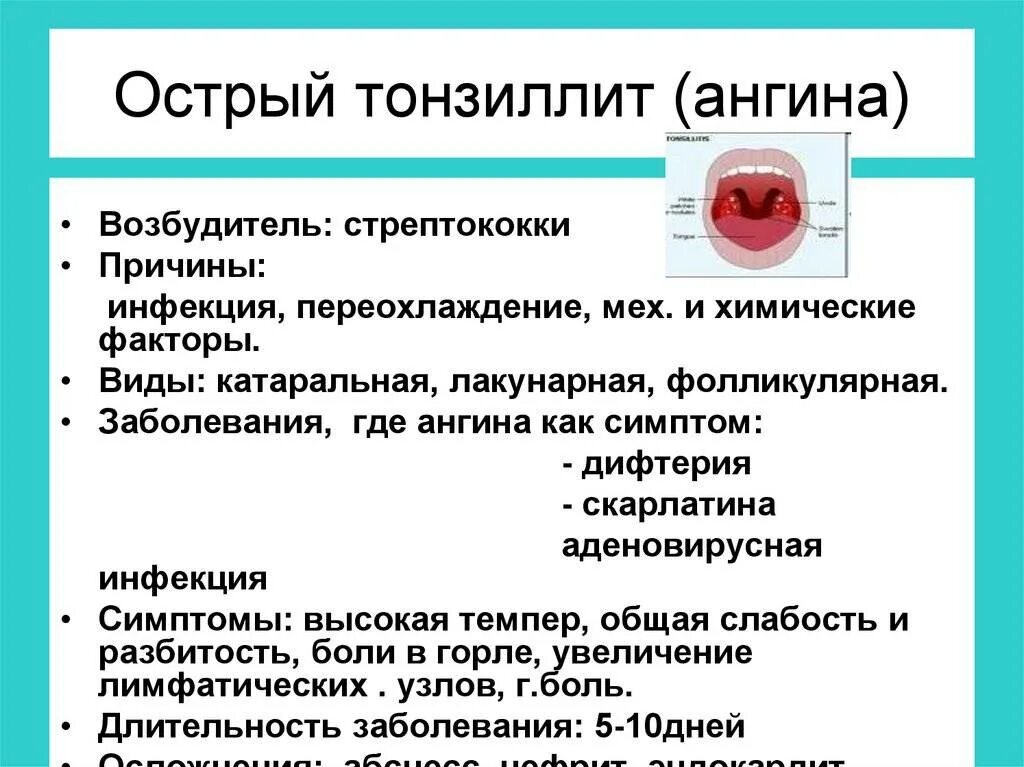 Тонзиллит код по мкб у взрослых. Клинические проявления тонзиллита. осложнения острого тонзиллита. основные симптомы ангины.