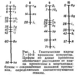 Где на практике используют генетические карты