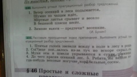 Вековые могучие корабельные сосны пунктуационный разбор предложения