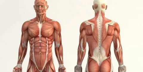 Мен əйелдің көтін жалап алғым келеді