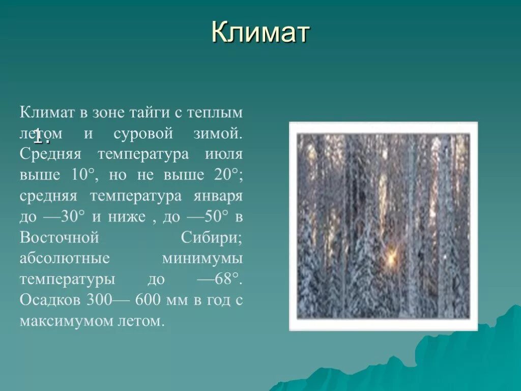 Какой климат в природной зоне тайга. Климат тайги 4 класс. Тайга климат температура осадки. Климат тайги зимой и летом. Климатические условия зоны тайги.