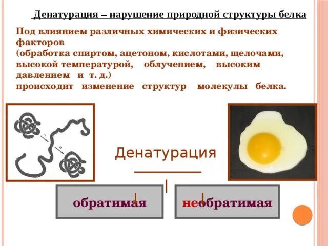 Денатурация белков температура. Денатурация белков температура. Денатурация нарушение природной структуры белка. Факторы необратимой денатурации. Денатурация белков температура.