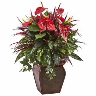 Mixed plants