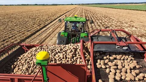 Сельское хозяйство производит широкий ассортимент продукции