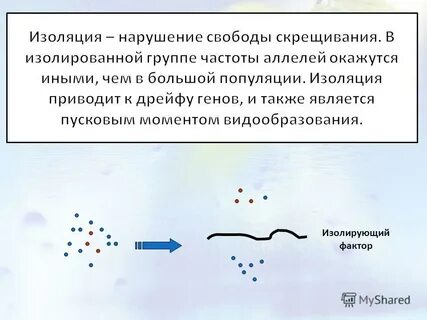 Изоляция приводят
