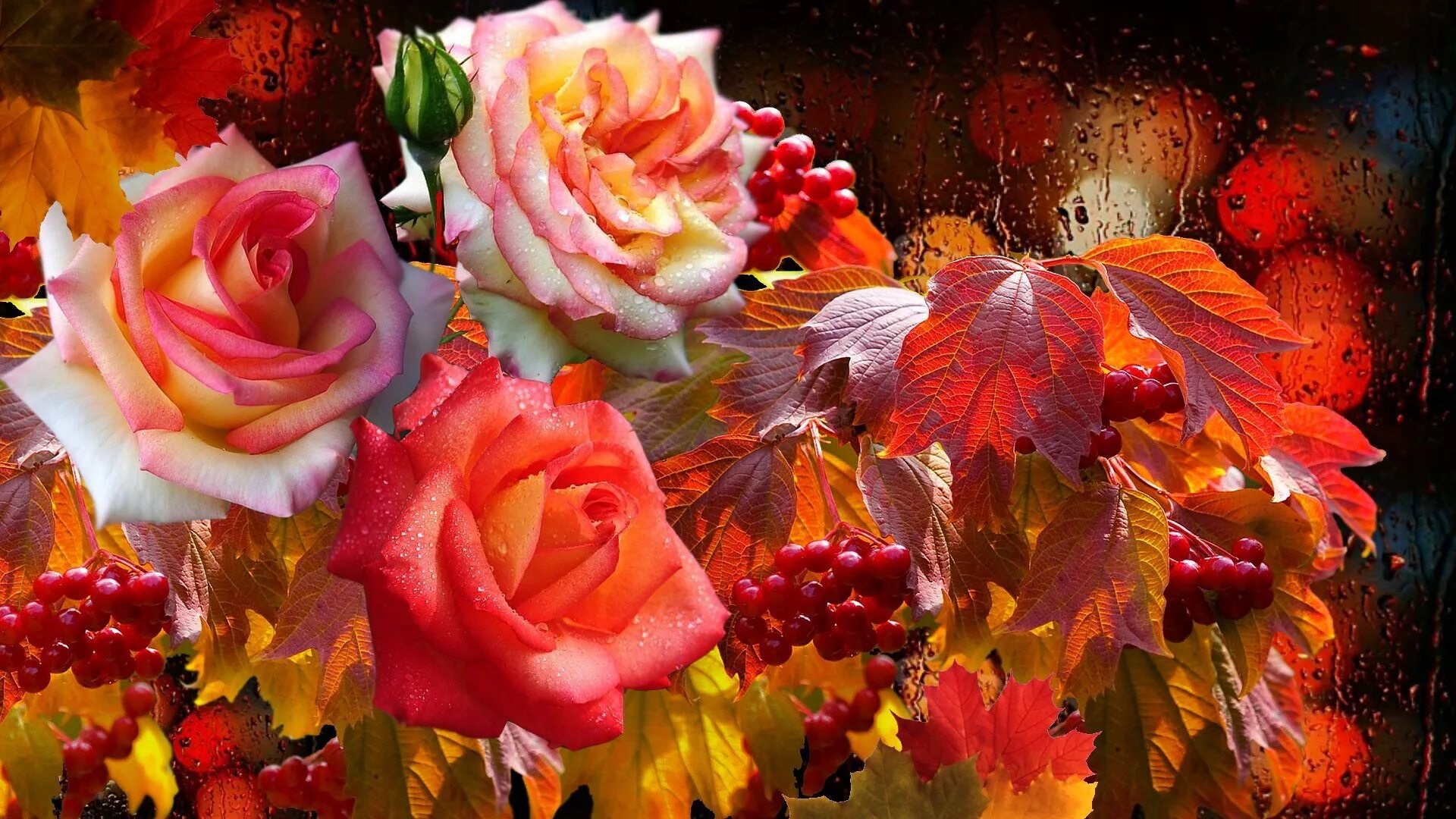 Осенние розы. Осенний букет. Розы осень.
