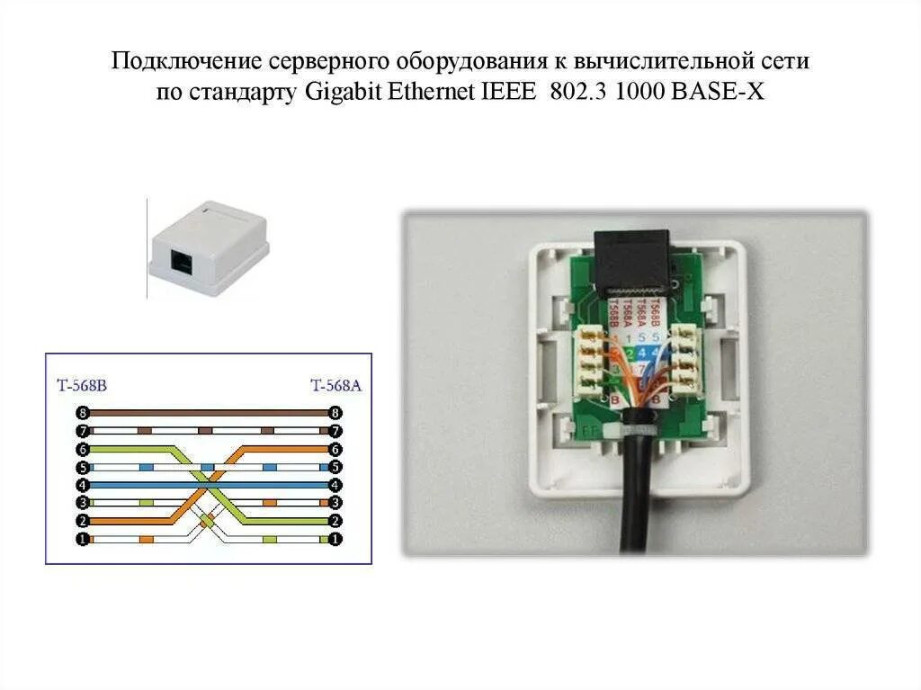 Инструкция подключения интернет-розетки