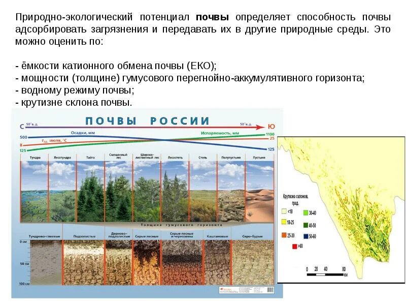 Экологический потенциал. Экологический потенциал территории. Природно-ресурсный и экологический потенциал. Почвенный потенциал. Природный потенциал территории россии