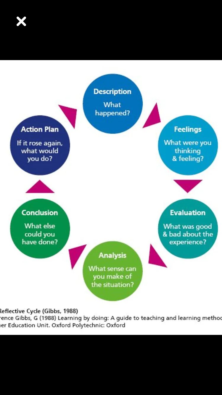 Plan rise. Gibbs Reflective Cycle. Гиббс рефлексия. Gibbs reflection Cycle. Модель Гиббса рефлексивная.