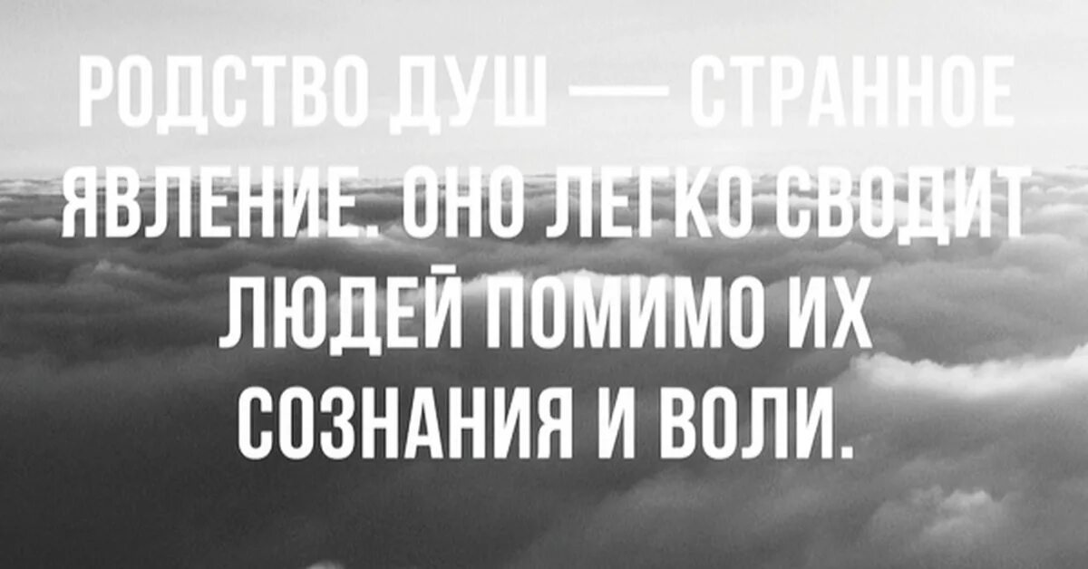 Встречаются ли родственники на том свете. Родственные души высказывания. Родственные души цитаты. Афоризмы про родственные души. Фразы про родственные души.