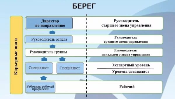 Высшее звено управления менеджмент. Руководитель высшего звена. Руководитель среднего звена управления. Руководитель среднего звена управления. Руководство среднего звена это.