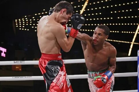 The boxer