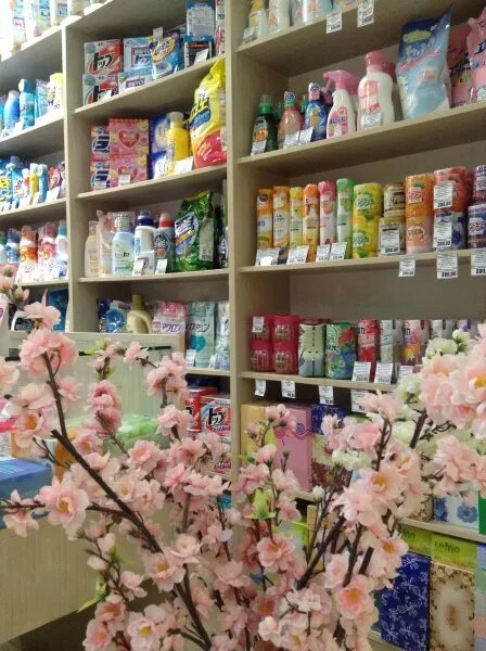 Магазин сакура. Магазин японской косметики. Японский магазин сакура. Название для магазина косметики. Японский магазин сакура.