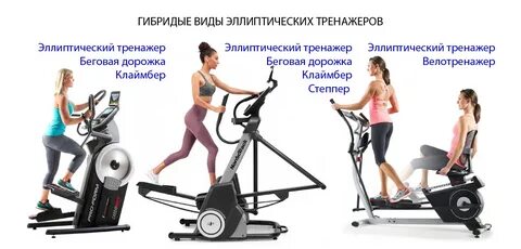 Что относится к видам тренажеров по назначению