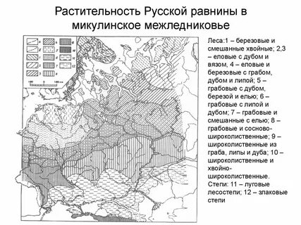 Заштрихуйте природные районы русской равнины