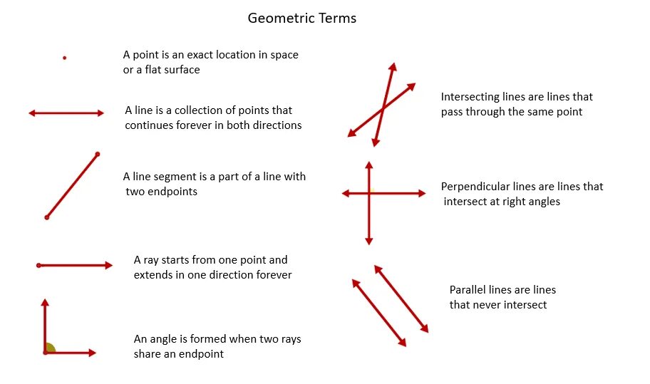 Segment Geometry. Point line ray. What is segment point and half line Geometry. Term and terminology. Basic terms