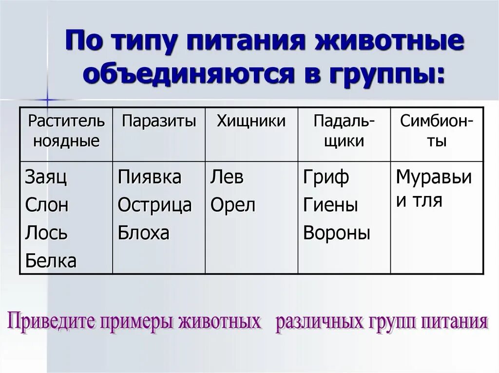 Питание животных 6 класс. Классификация животных по типу питания. Типы питания животных. Животные Тип питания. Типы питания животных таблица.