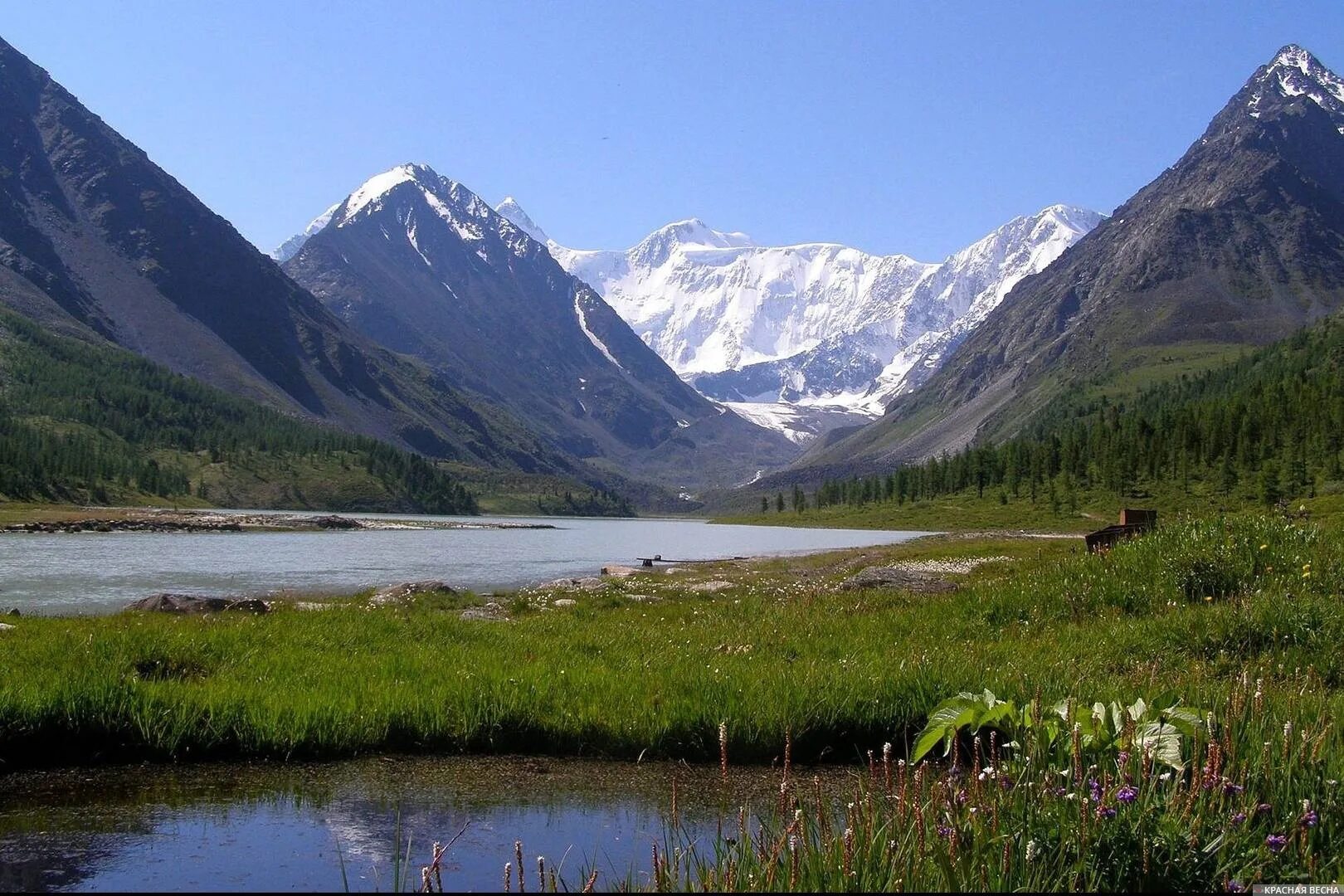 Сайт алтай край. Белуха горный Алтай. Алтайские горы Алтайский край. Гора Белуха. Бийск горы Алтая.
