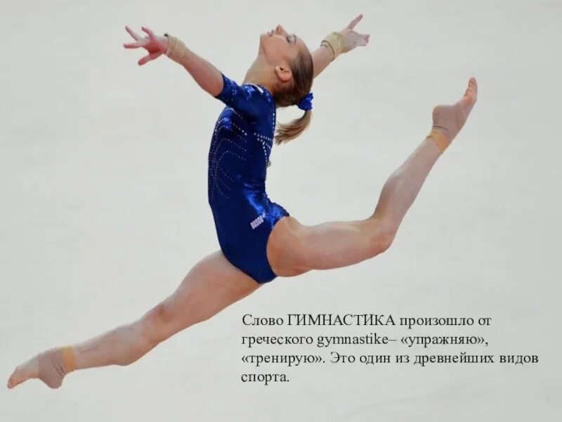 Слово гимнастика. Гимнастика текст. Гимнастика происходит от греческого gymnastike,. Гимнастическая физкультура текст.