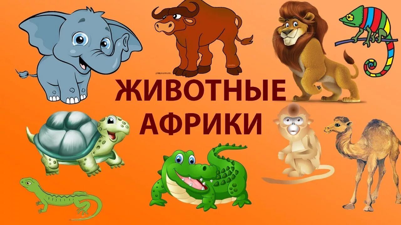 Про животных изучать. Животные африки для детей. изучаем животных африки. названия животных африки. надпись животные африки для детей.