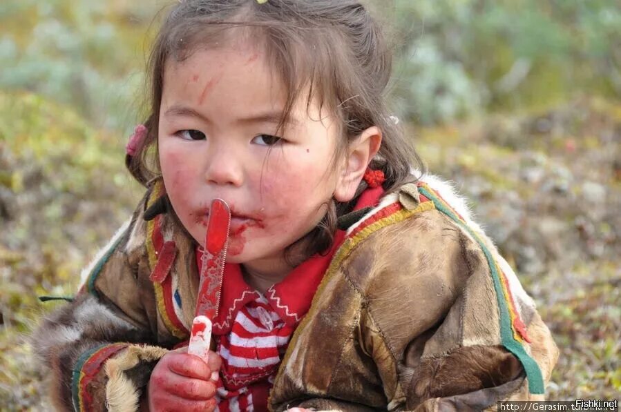 Ненцы и якуты. Пьющие якуты. Пьющие якуты. Якутская лошадь ысыах. Пьющие якуты.