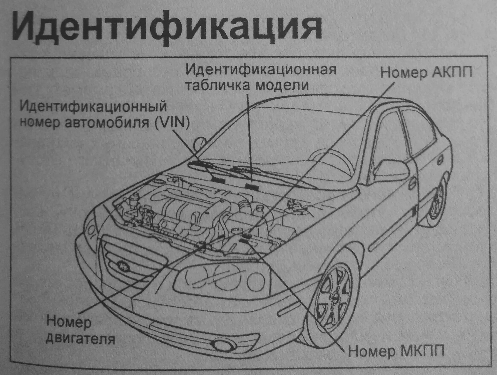 VIN номер Hyundai Elantra XD 2006. Hyundai Elantra 2005 номер кузова. Номер кузова Elantra XD. Hyundai Elantra 2004 года вин номер двигателя. Вин хендай элантра